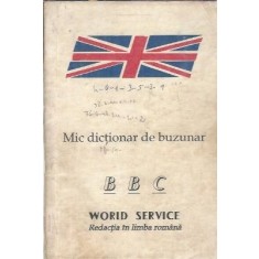 Mic dictionar de buzunar