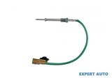 Senzor temperatura gaze dpf Nissan Qashqai (2007-&gt;)[J10,NJ10,JJ10E] #1