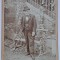 Fotografie de epoca, tip CDV, Barbat