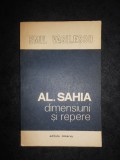 Emil Vasilescu - Al. Sahia. Dimensiuni si repere