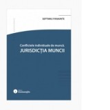 Conflicte individuale de munca. Jurisdictia muncii - Septimiu Panainte