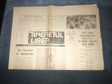 ZIARUL TINERETUL LIBER 29 IUNIE 1990 LISTA GUVERNULUI