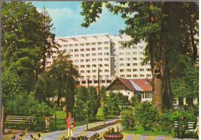 CPIB 15339 - CARTE POSTALA - SANGEORZ BAI. VEDERE DIN PARC foto