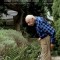 The Wild Braid: A Poet Reflects on a Century in the Garden