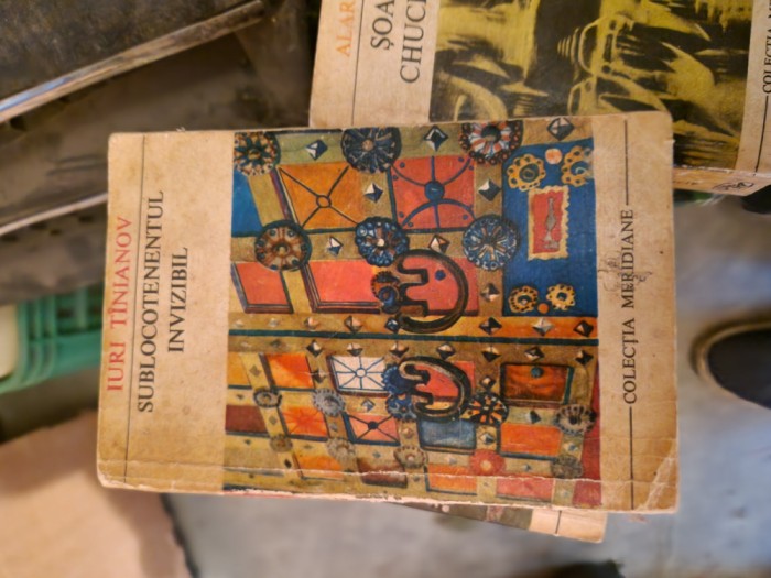 Sublocotenentul invizibil vintage