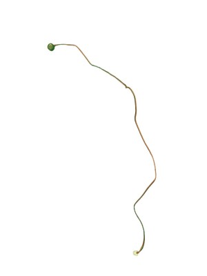 MSI VR610 Modul microfon + Cablu SWAP foto