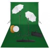 VidaXL Set studio foto cu lămpi, umbrele, fundal și reflector 3067076