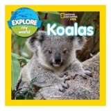 Cumpara ieftin Explore My World Koalas, Jill Esbaum