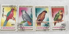 (B ) Timbre serii Straine Fauna Pasari Mongolia