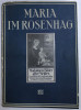MARIA IN ROSENHAG - MADONNEN - BILDER ALTER DEUTSCHER UND NIEDERLANDISCH - FLAMISCHER MEISTER , 1915