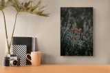 Tablou Canvas, "Florile c&acirc;mpului &icirc;n asfințit plăcut", Flori, Natură, Sălbăticie, Plante, Verdeață, Frumusețe, Simplitate, Calm, Naturalețe, Delicatețe