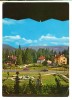 CPIB 18432 CARTE POSTALA - TIMISUL DE SUS, NECIRCULATA, AUTOTURISM, Fotografie