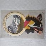 Carte postala rara a organizatiei studentilor sasi din Transilvania , Asociatia Brukenthal Sibiu , BRUKENTHALBUND , anii 1924 - 1925