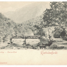 5082 - Baile HERCULANE, Caras-Severin, Bridge, Litho - old postcard - unused