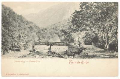 5082 - Baile HERCULANE, Caras-Severin, Bridge, Litho - old postcard - unused foto