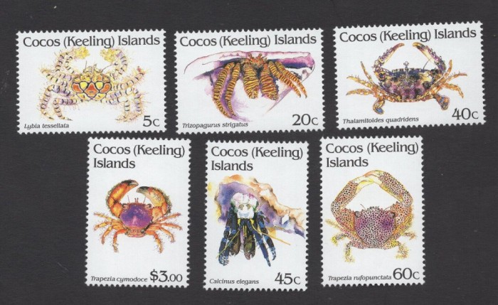 COCOS ISLANDS 1994 FAUNA MARINA CRABI