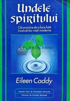 Undele spiritului. Ghid practic pentru a face fata incercarilor zilnice - 1998 - Eileen Caddy (H154) foto