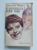 Carte CASTELUL DIN VIS - Costache Anton, Ed. Ion Creangă, Roman pentru Tineret Vintage