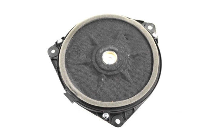 Subwoofer LEXUS RX _L2_ 2020 OEM: 861600WW30,04020-J0801