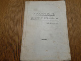 CUGETARI DE PE MUNTELE FERICIRILOR - E. White - Editia III -a, 111 p., Alta editura
