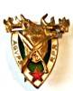 INSIGNA AGVPS RPR TROFEU CERB CL A 1 A AURIE EMAIL VANATOARE PESCUIT AJVPS AVPS, Romania de la 1950