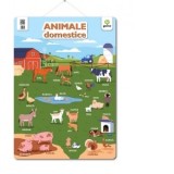 Plansa Animale domestice