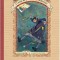 Evenimente Nefericite 6. Liftul Lipsa, Lemony Snicket - Editura Art