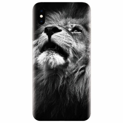 Husa silicon pentru Apple Iphone X, Majestic Lion Portrait foto