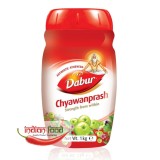 DABUR Chyawanprash (Gem Indian Chyawanprash) 1kg