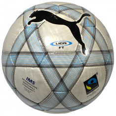 Mingi de fotbal Puma Liga Ft IMS Ball 081762-04 gri foto