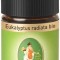 Ulei Esential Bio cu Eucalipt Australian 5ml Primavera