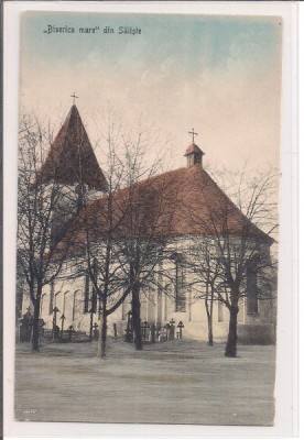 Carte postala circulata Saliste foto