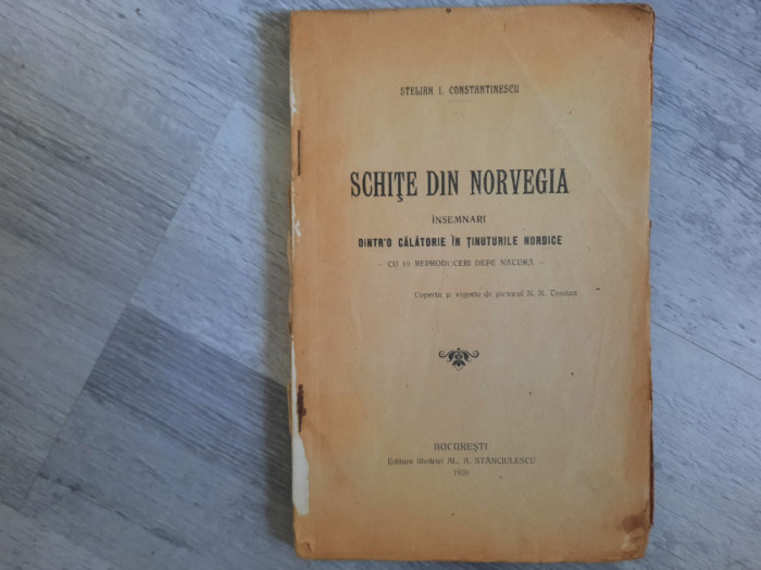 Schite din Norvegia de Stelian I.Constantinescu