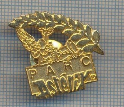 AX 373 INSIGNA - PARC ASTERIX foto