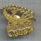 AX 373 INSIGNA - PARC ASTERIX