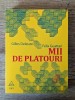 Gilles Deleuze, F&eacute;lix Guattari, Capitalism și schizofrenie 2: Mii de platouri