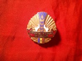 Insigna - Insemn - Fruntas in Coop de Consum - RPR , metal si email , h=3,3cm