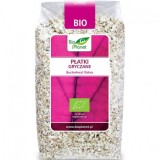 Fulgi de Hrisca Bio 300gr Bio Planet