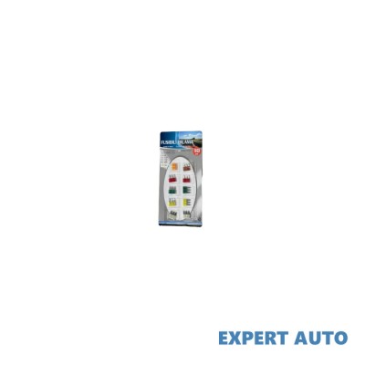 Set 10 sigurante auto tip micro 3 cod: t101-3 Alta marca Alt model #7 foto