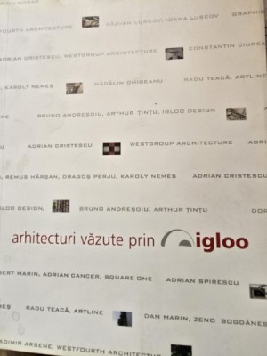 Arhitecturi vazute prin Igloo 2005 foto