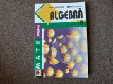 ALGEBRA CLASA A X A PETRE NACHILA MARIN CHIRCIU