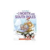 Ice Is Nice!: All about the North and South Poles