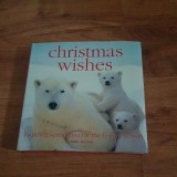 Cumpara ieftin Christmas Wishes