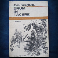 DRUM IN TACERE - ROMAN - JEAN BAILESTEANU