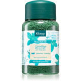 Cumpara ieftin Kneipp Goodbye Stress saruri de baie 500 g