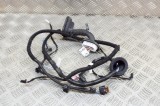 Cablaj ușă st&acirc;nga spate TESLA MODEL 3 2018 OEM: 2067965-00-A 13714219