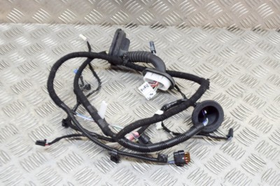 Cablaj ușă st&amp;acirc;nga spate TESLA MODEL 3 2018 OEM: 2067965-00-A 13714219 foto