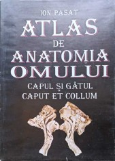ATLAS DE ANATOMIA OMULUI. CAPUL SI GATUL-ION PASAT-218812