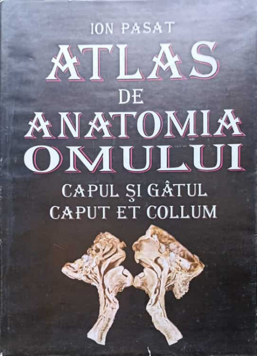 ATLAS DE ANATOMIA OMULUI. CAPUL SI GATUL-ION PASAT