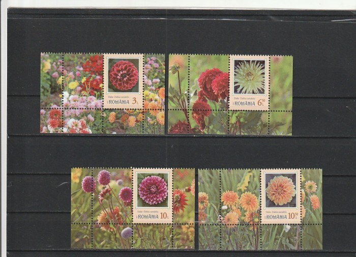 ROMANIA 2022 LP 2390 FLORI DE GRADINA DALII SERIE CU VINIETA 2 MNH NESTAMPILATA
